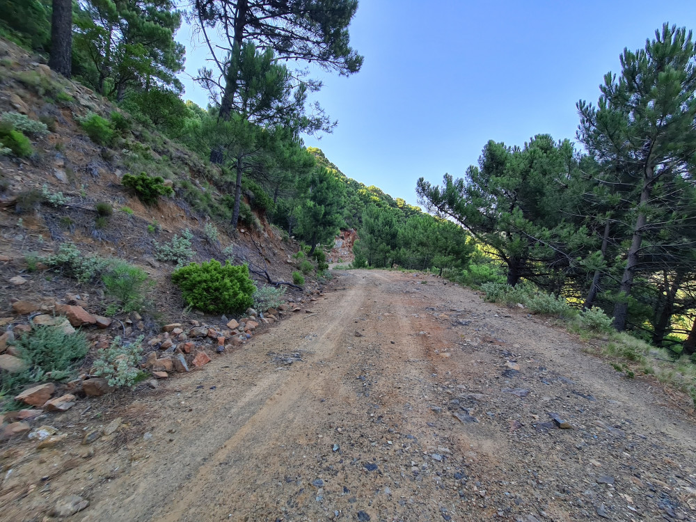 E-bike Tour Through Sierra Bermeja Natural Park