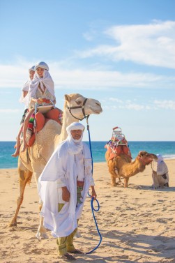 Outback & Camel Safari