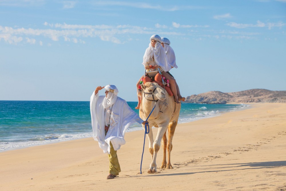 Outback & Camel Safari - Cabo San Lucas | Project Expedition