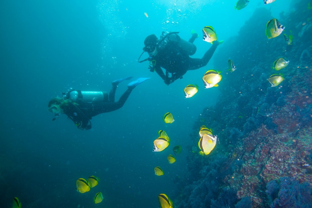Discover Scuba Diving Los Cabos Cabo San Lucas Project Expedition