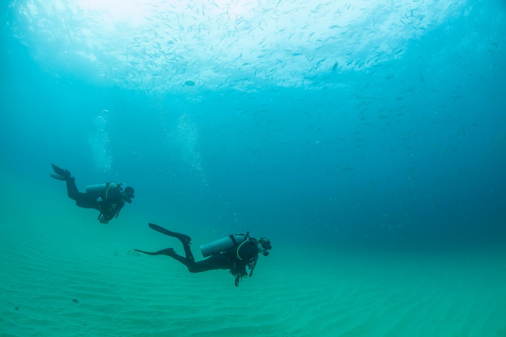 Discover Scuba Diving Los Cabos Cabo San Lucas Project Expedition