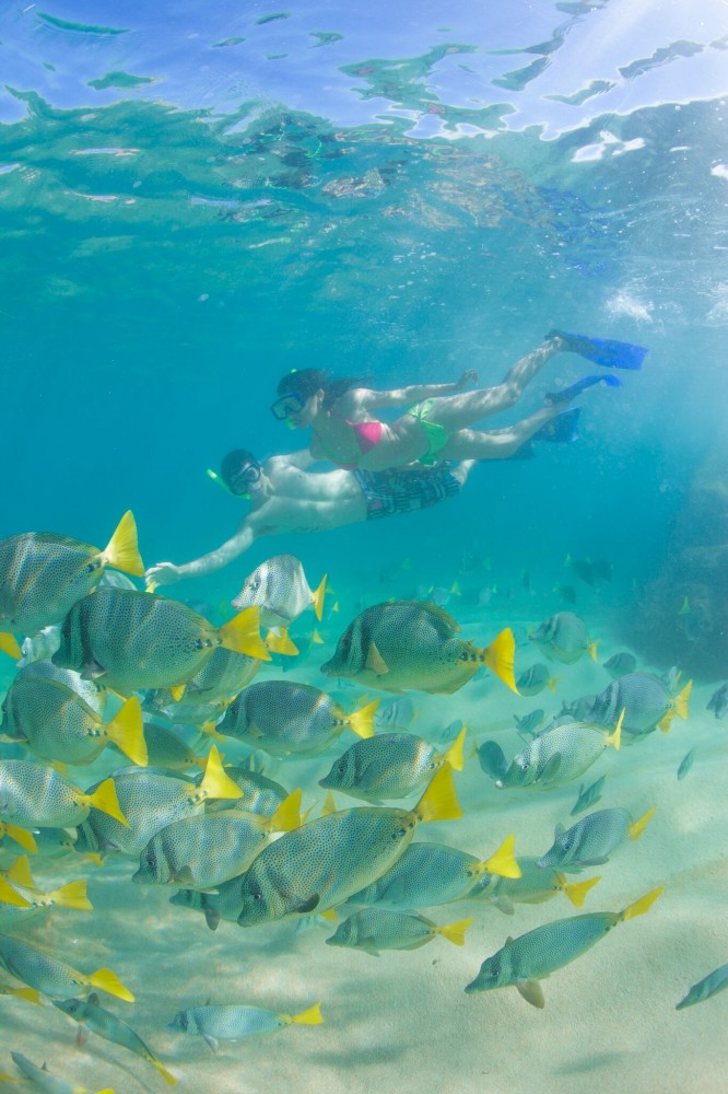 Snorkel & Sea Adventure Cabo San Lucas Project Expedition