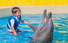 Dolphin Kids