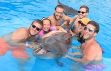 Dolphin Swim Experience
