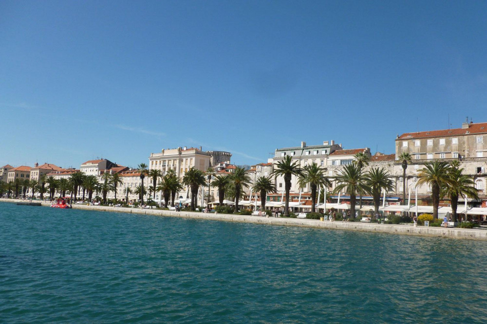 Panoramic Cruise with Gray Line boat