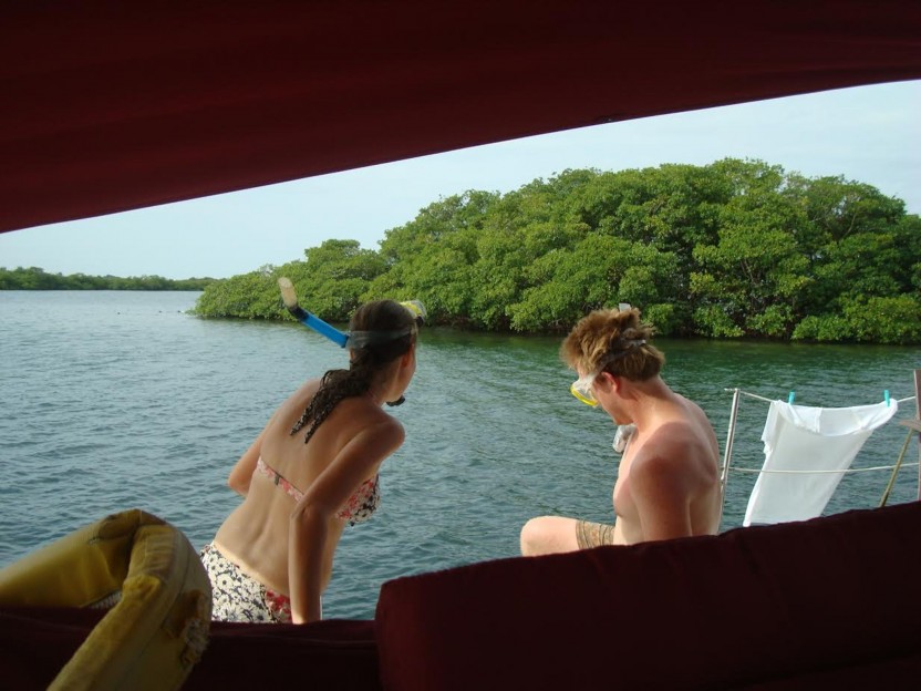 Route 1: Dolphin Bay Tour