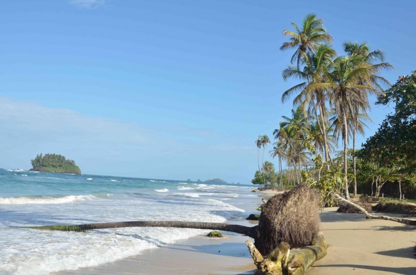Route 1: Dolphin Bay Tour