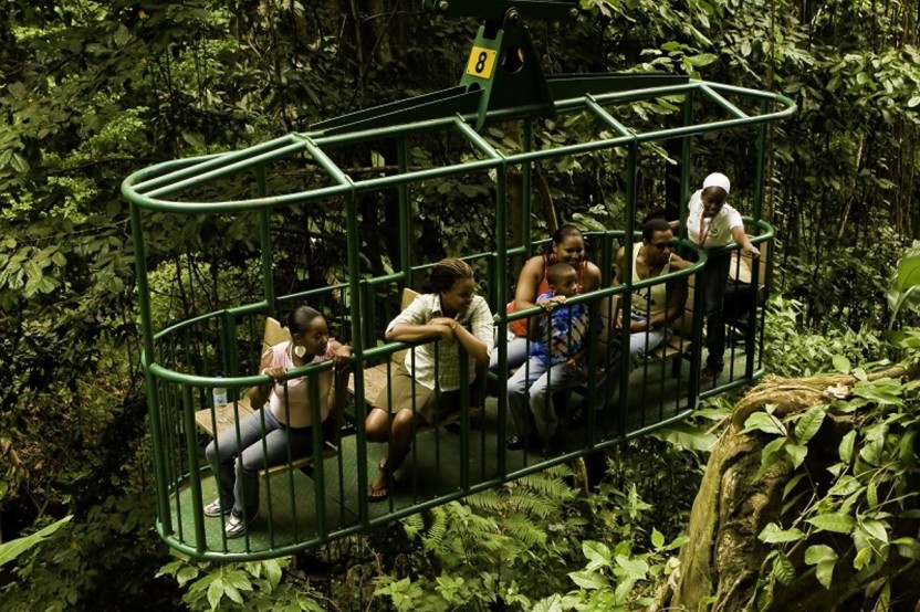 Rainforest Adventures: Aerial Tram Adventure