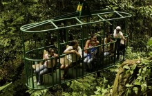 Rainforest Adventures: Aerial Tram Adventure