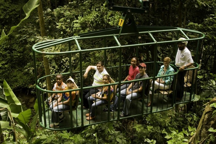 Rainforest Adventures: Aerial Tram Adventure