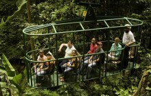 Rainforest Adventures: Aerial Tram Adventure