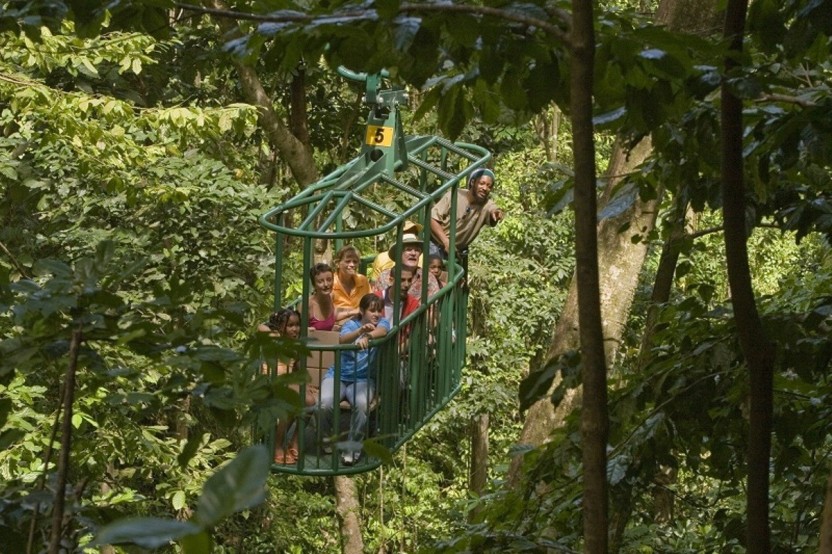 Rainforest Adventures: Aerial Tram Adventure