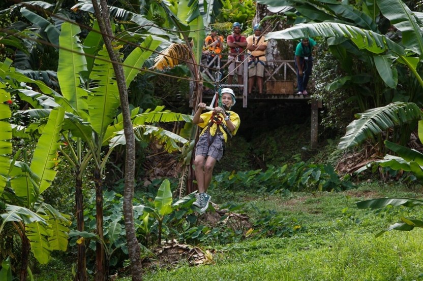 Rainforest Adventures: Adrenaline Zip Line