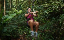 Rainforest Adventures: Adrenaline Zip Line