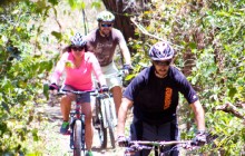 Iron-Horse Mountain Bike Tour At Hacienda Guachipelin (Half day)