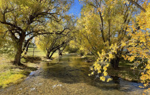 3 Days - The Black Hills and Badlands Private Tour