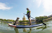 Paddle Surf Sevilla1