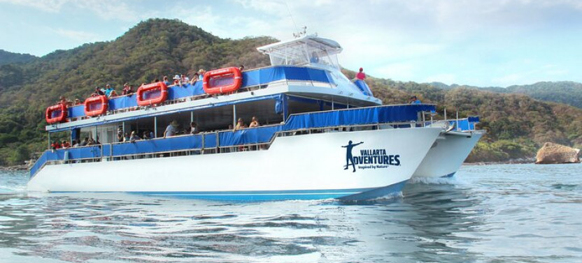 Whale Watching Catamaran Adventure