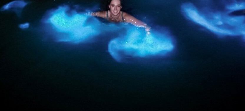 Luminous Lagoon from Montego Bay