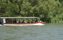 Damas Island mangrove’s boat tour