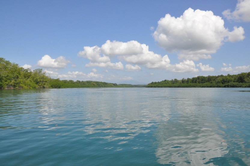 Damas Island mangrove’s boat tour