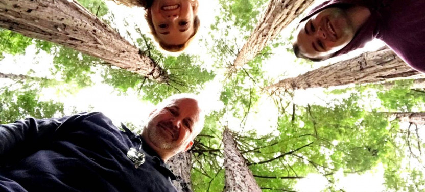 Private Full Day Convertible Jeep Tour to Muir Woods & Sausalito