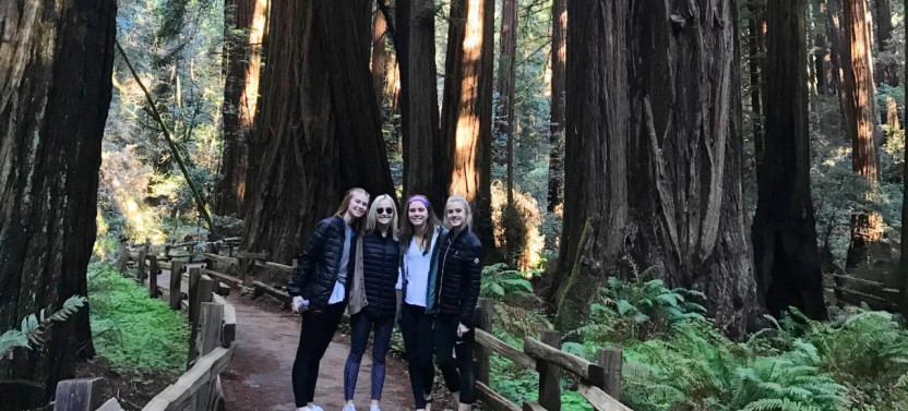 Private Half Day Convertible Jeep Tour to Muir Woods & Sausalito