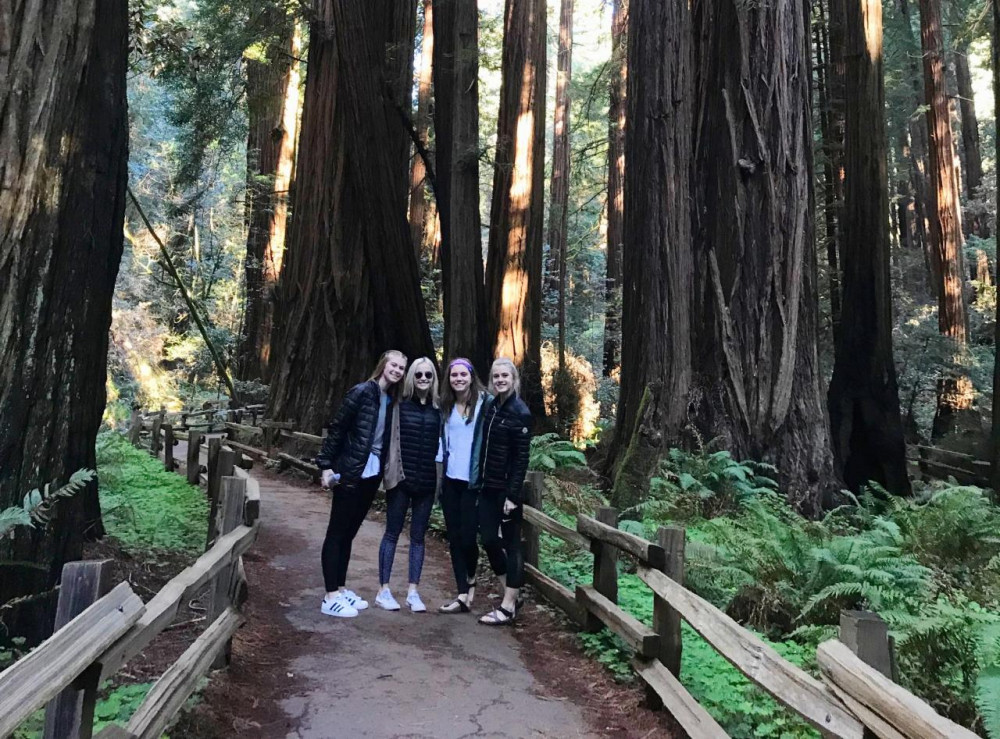 Private Half Day Convertible Jeep Tour to Muir Woods & Sausalito