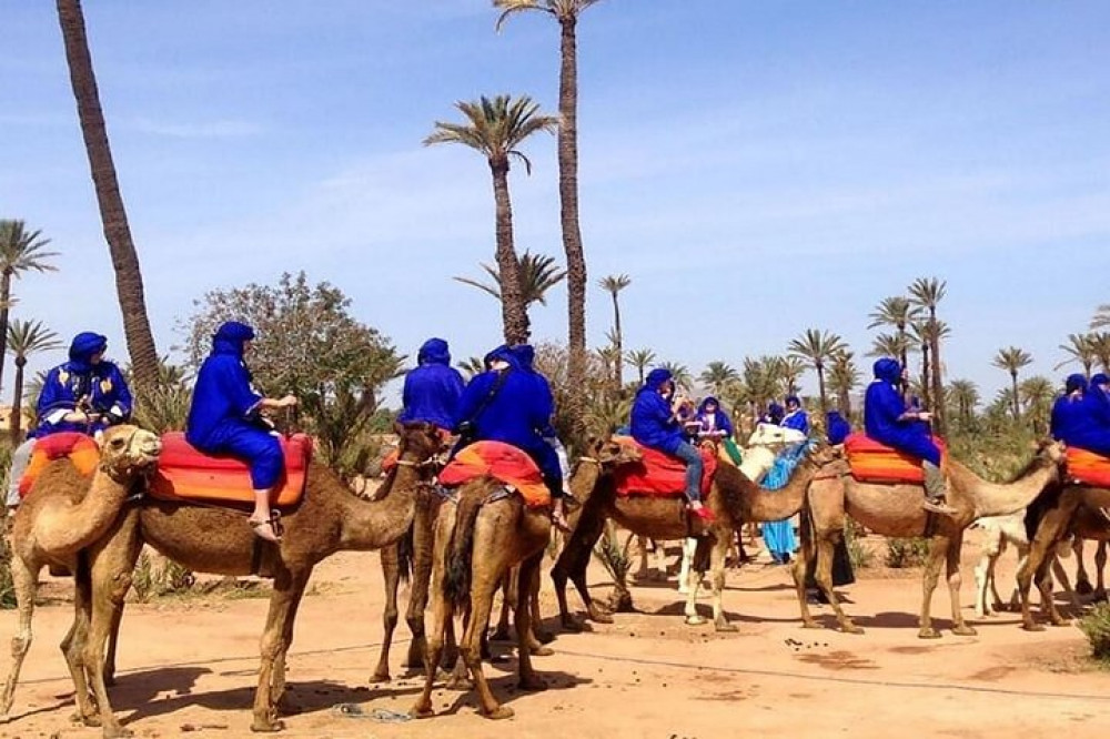 3 Hours Camel Ride & Quad Bike In Palmeraie