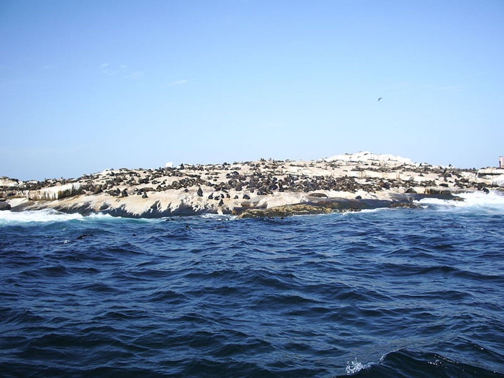 Seal Island