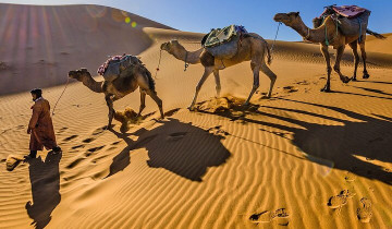 A picture of 8 Days Camel Trek At The Desert In Morocco