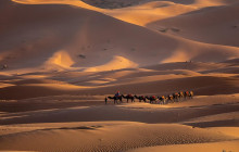 DesertBrise Travel3