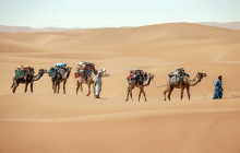 DesertBrise Travel5