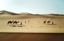 DesertBrise Travel8