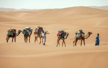 DesertBrise Travel5