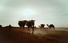 4 Days Camel Trek in the Desert of Morocco