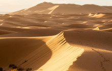 DesertBrise Travel5