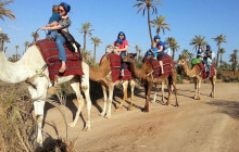 DesertBrise Travel2