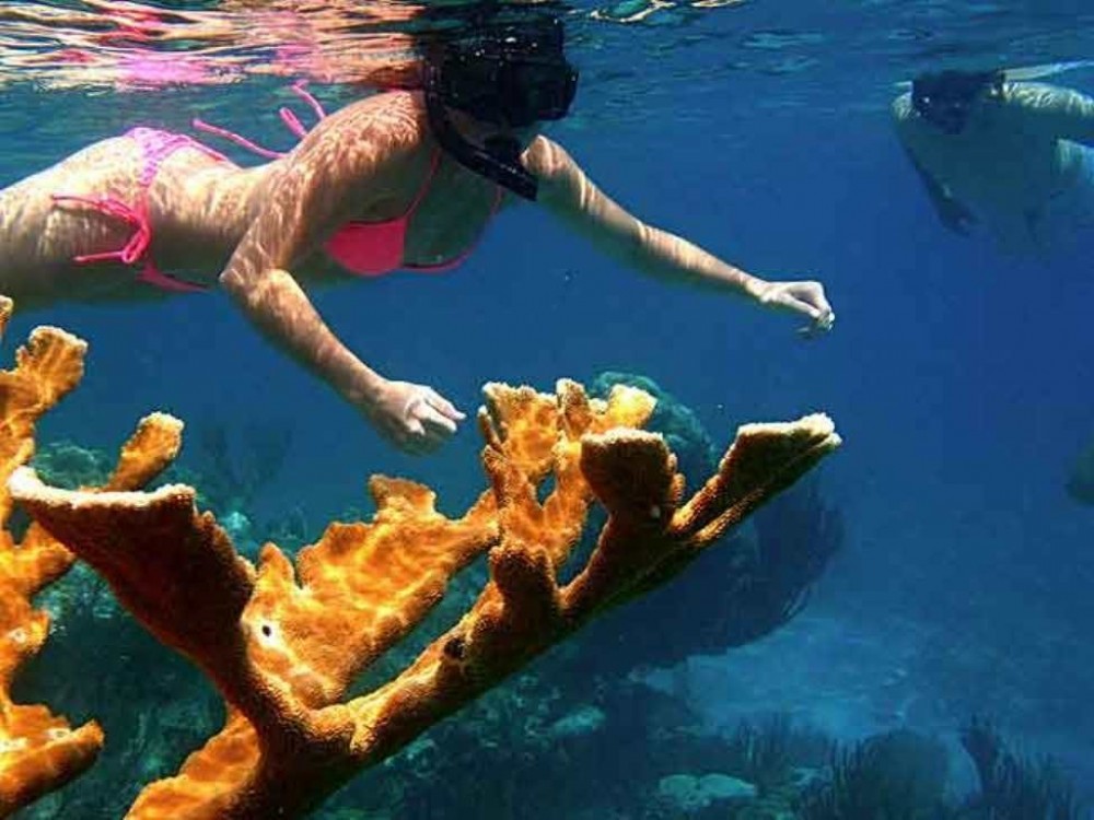Kayaking Puerto Rico Adventures