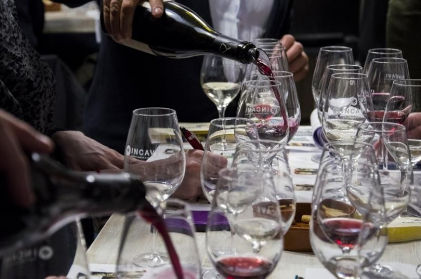 Barcelona Wine City Tour