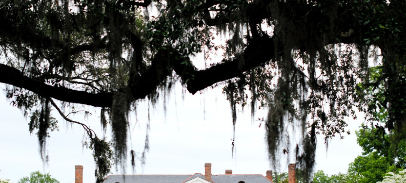 Charleston Style VIP Tour