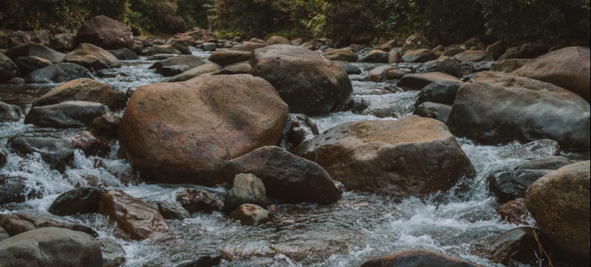 El Yunque Rainforest Group Tour