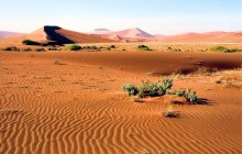 Namib-naukluft National Park