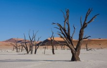 Namib-naukluft National Park