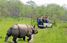 Jungle Safari Tour in Chitwan National Park