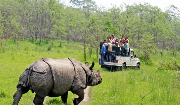 A picture of Jungle Safari Tour in Chitwan National Park