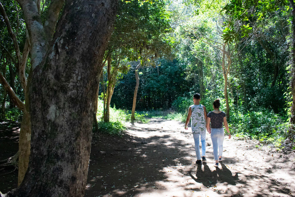 Hacienda Guachipelín