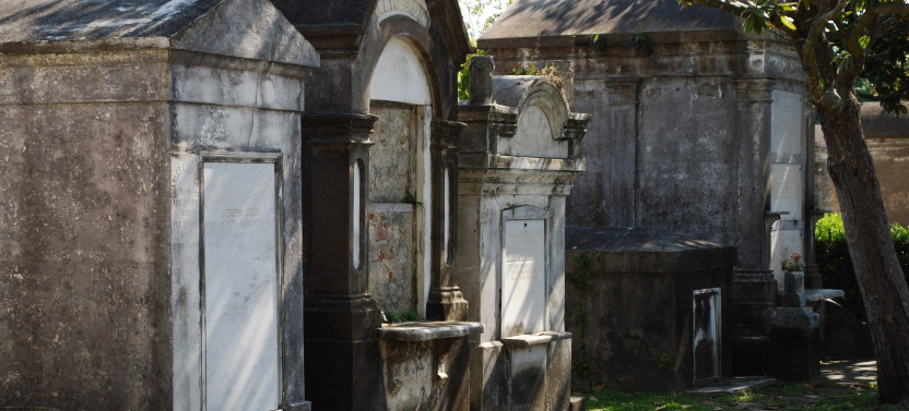 Garden District History & Architecture Tour - Semi Private