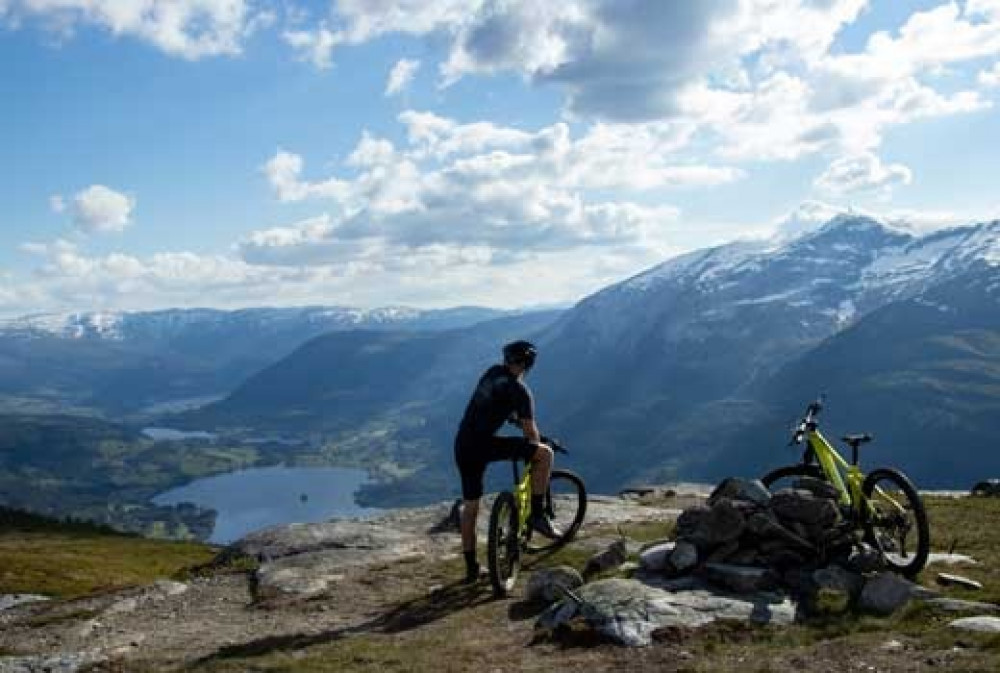 Small Group Guided Mountain Biking Tour To Fjord Norway