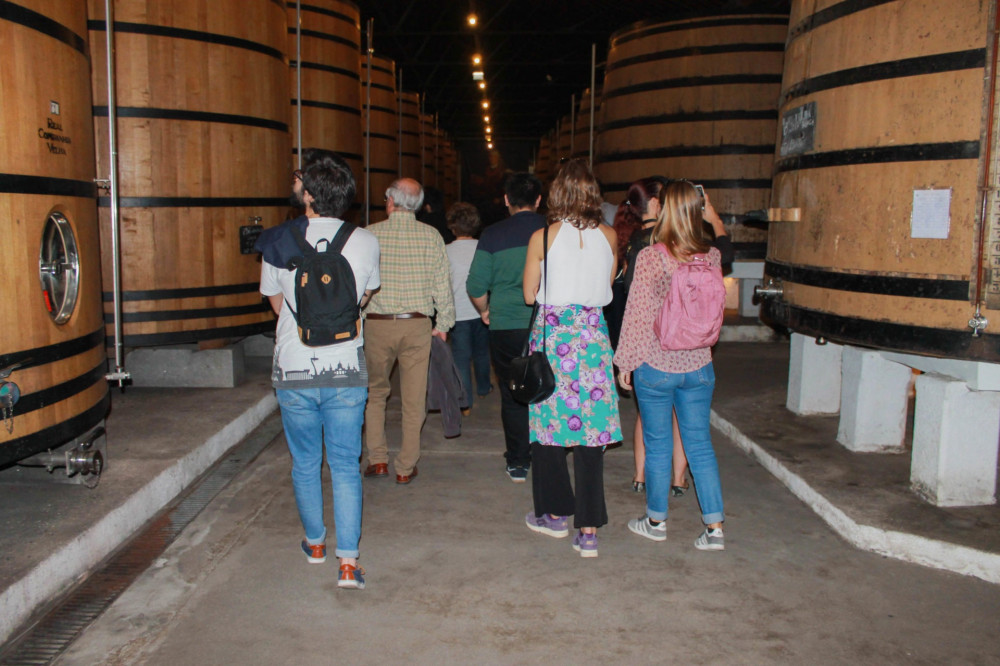 Porto Wine & Dine: Port Wine Cave and Food Tour